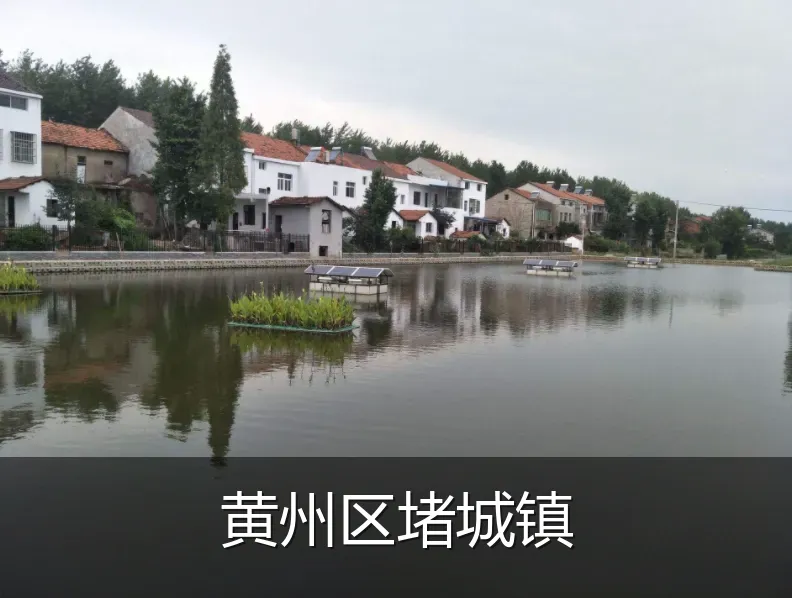 黄州区堵城镇