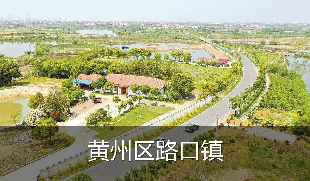 黄州区路口镇